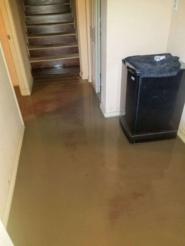 Emergency Water Removal in Scottsdale, AZ