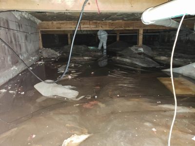 Water Removal Service in Chandler, AZ